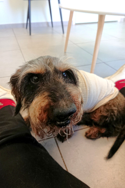 [Image: DSC-3751.jpg]