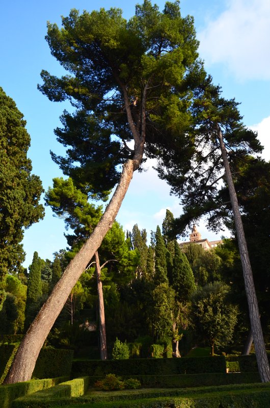 TIVOLI-14 Y 15-9-2023 - Italia y sus pueblos-2018/2019/2023 (124)