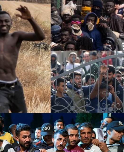 
Warum sind so viele Menschen aus dem Maghreb in Europa arbeitslos?