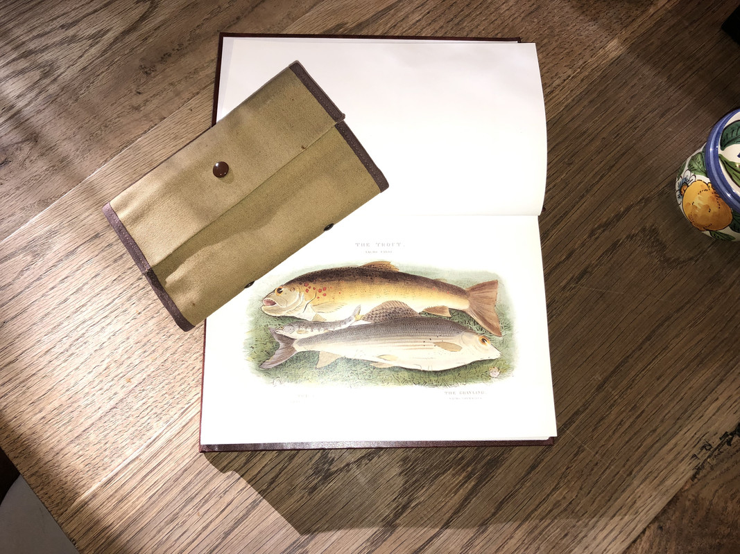 E5B1F7A5-834F-44B8-BFE6-6B40BBBA1E06