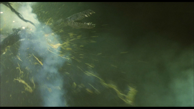 Godzilla vs Biollante (10)