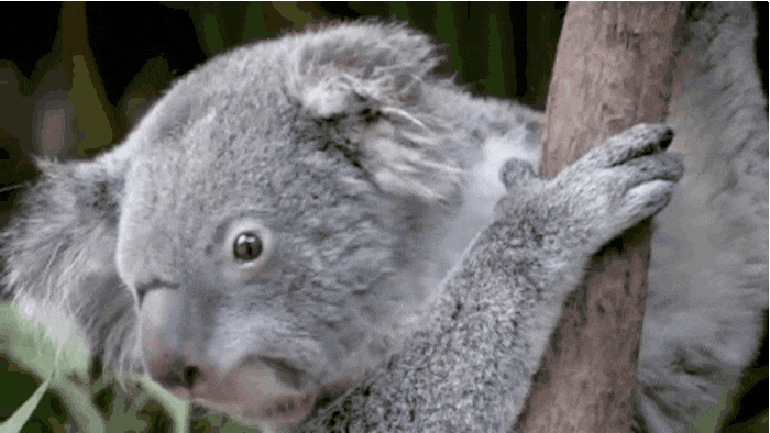 GIF-20250926-164130-693.gif