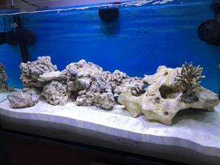 67A69ABA-9340-4CE4-BA33-E04AE9D2F28E