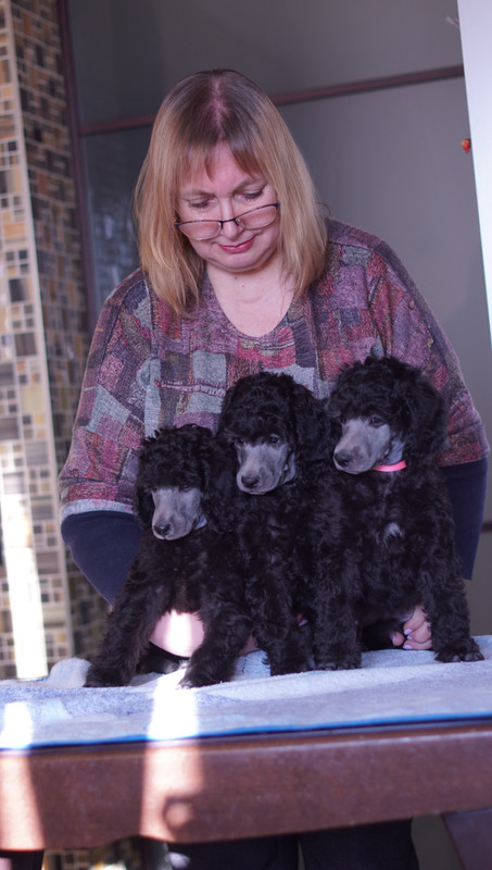 11341419-6B36-45CC-8C1D-7AFBE0080019