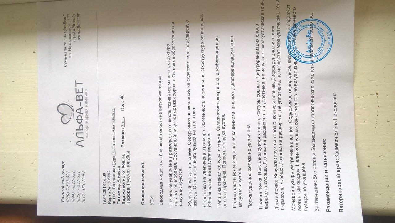 УЗИ Агнессы