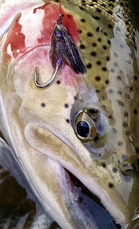 232D46DB-65DF-42AA-BBF2-8BDB0ED56441