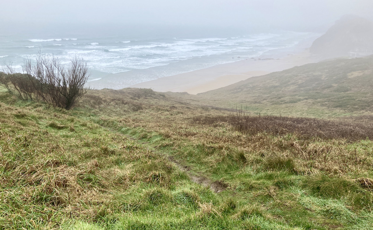 9BB22D09-06F2-443E-B34F-2B2F19E2BCF2