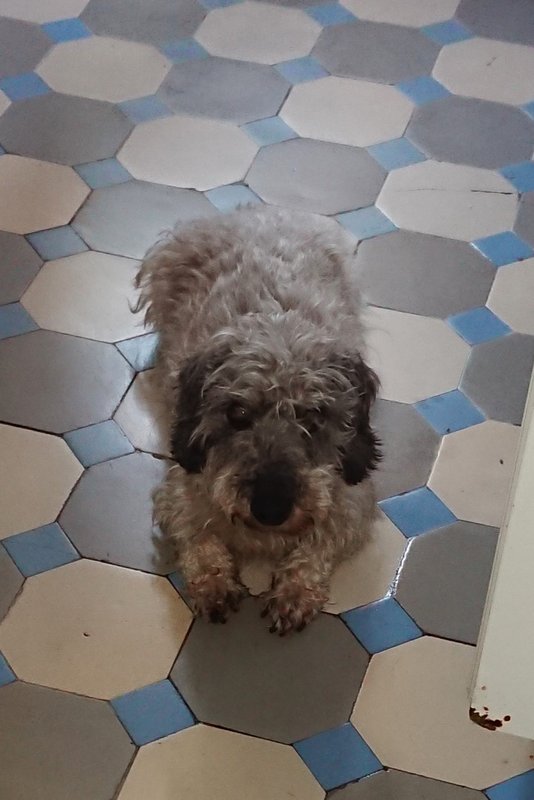 [Image: DSC-2773.jpg]