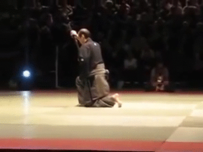 6.gif