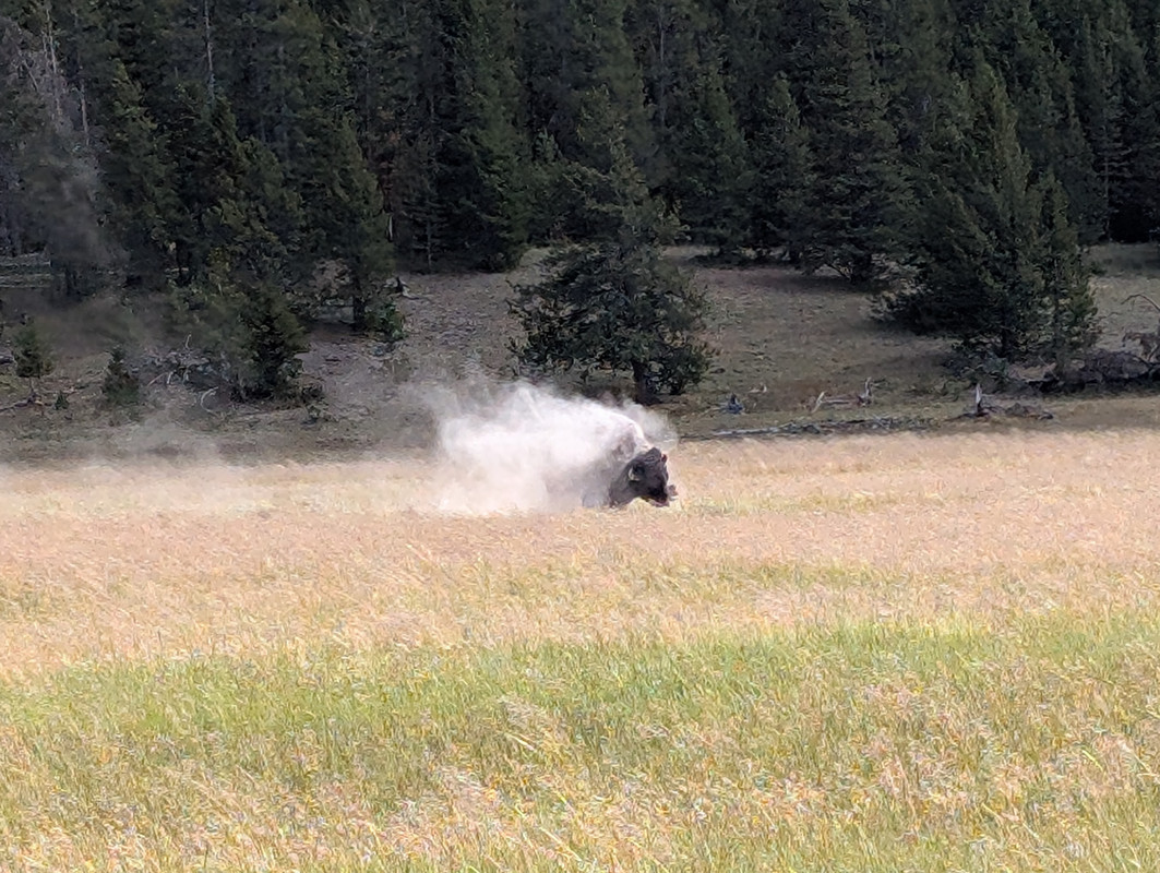 PXL_20250721_210812481