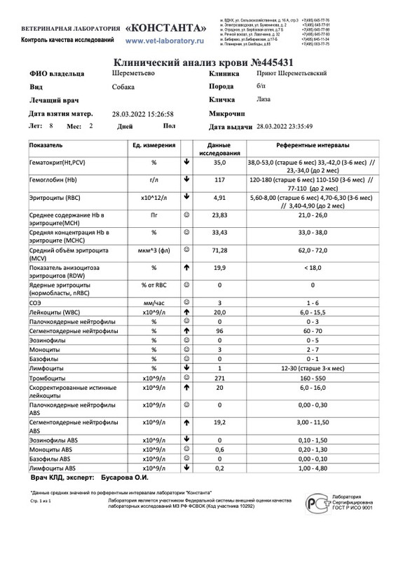 Клинический анализ крови (445431)