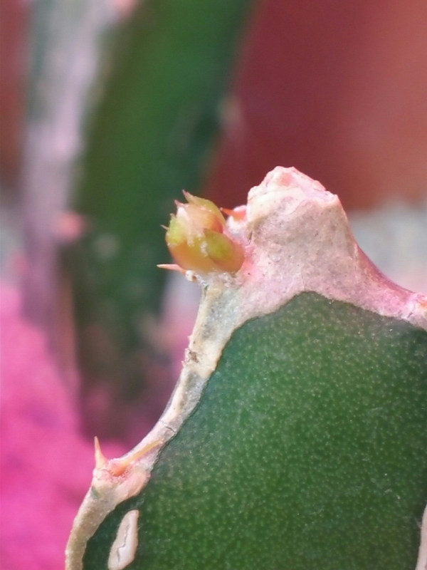 20150410_185322