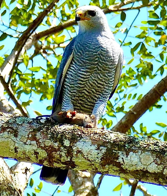 D7C1ADD8-A58E-4F67-AA96-E5319AD38B99