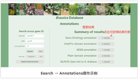 BRAD:十字花科植物基因组资源综合数据库-2.png