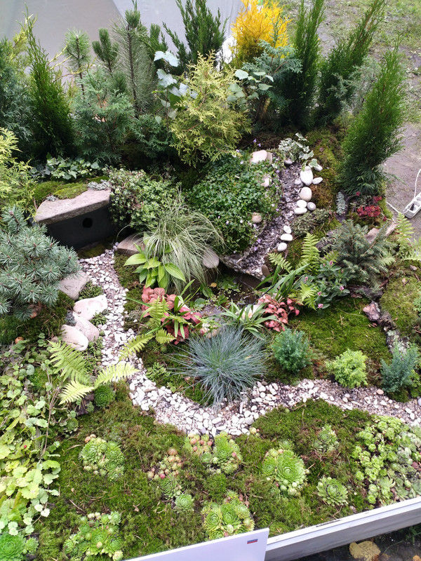 город-сад 2017-1-25