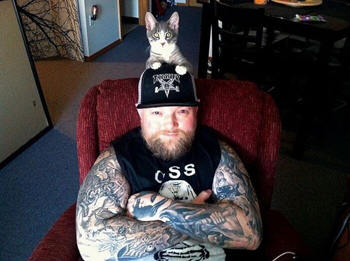 4-metal-cats-2