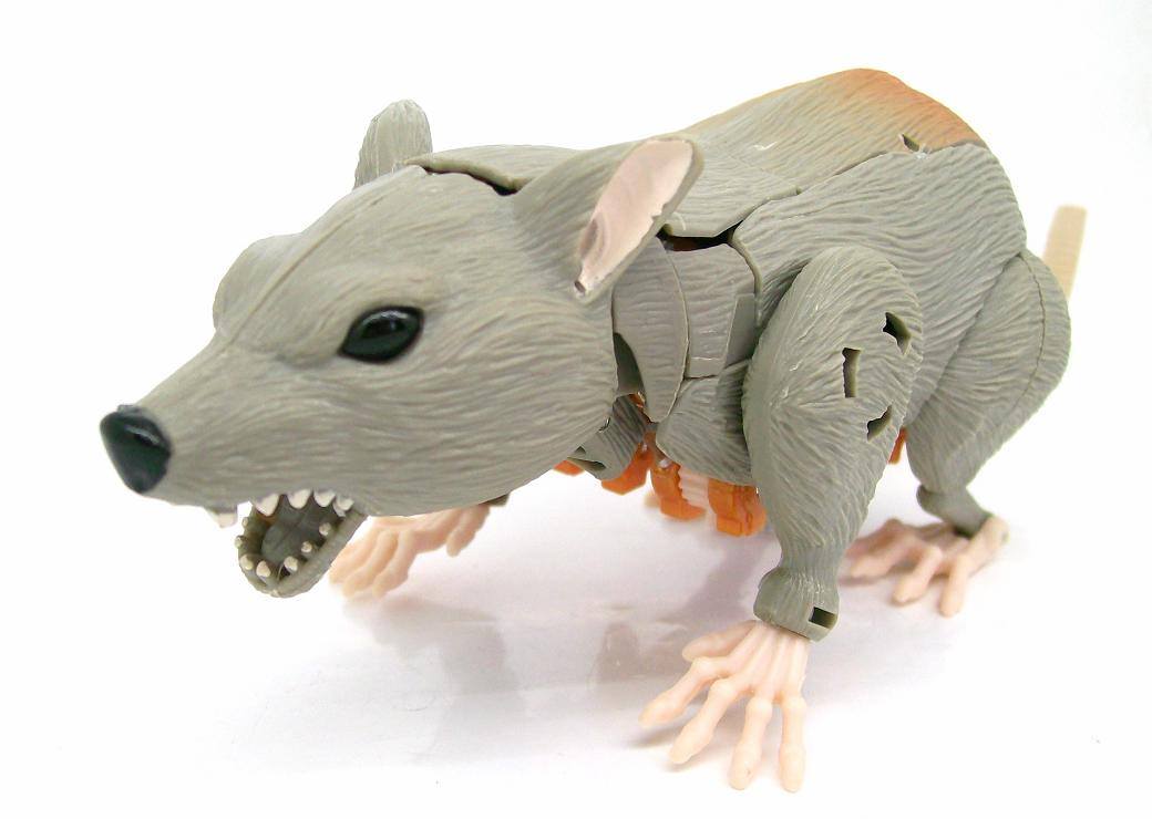 10333704_776287532391445_361880608101488827_o