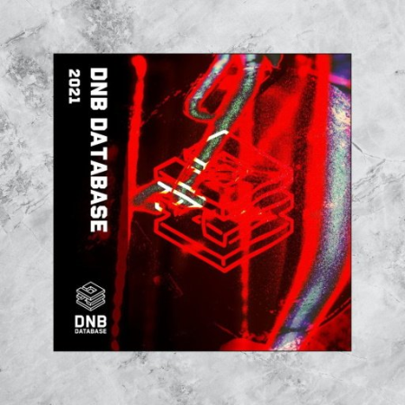 VA - DNB Database 2021