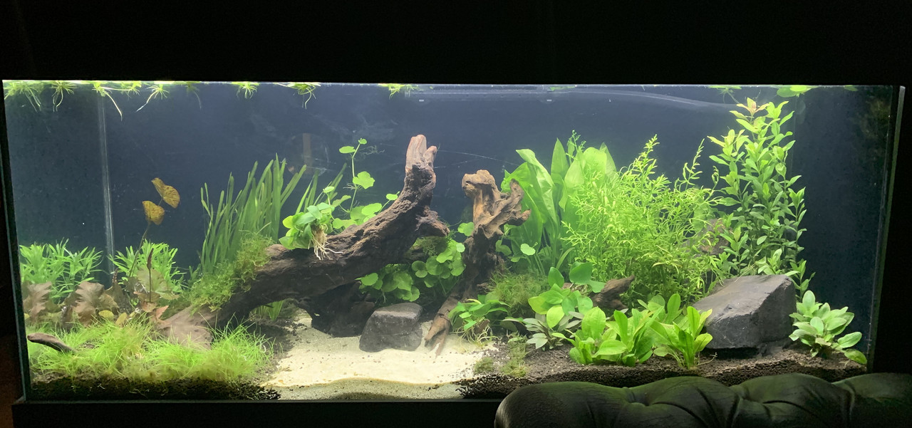 B9D34204-B86E-4086-9143-EA36392B2382