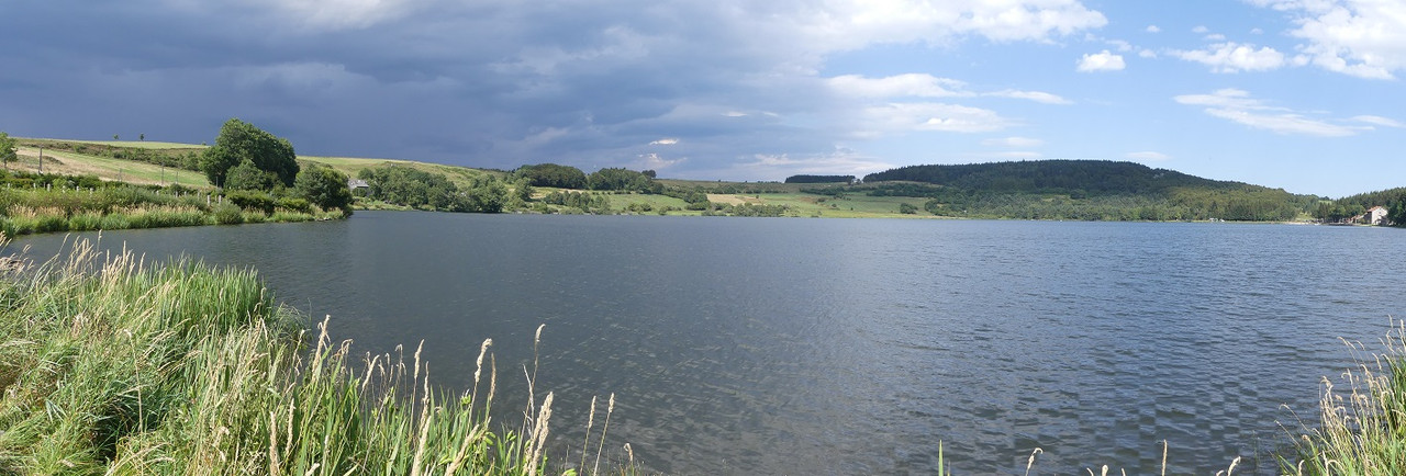 P1090254.jpg