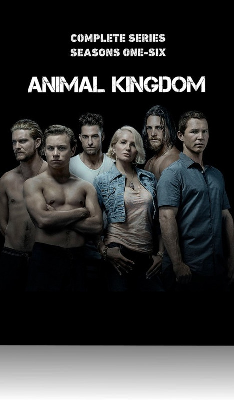 Królestwo zwierząt / Animal Kingdom (2016-2022) (Sezon 1-6) MULTi.1080p.NF.WEB-DL.DDP5.1.H264-Ralf | Lektor & Napisy PL