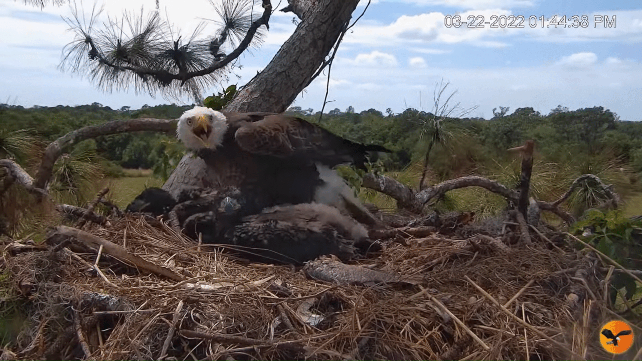 Webp.net-gifmaker (2)