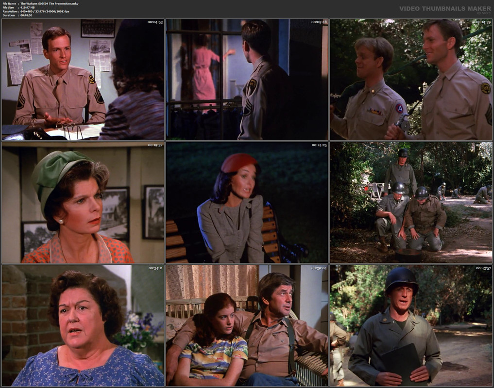 The Waltons S09E04 The Premonition.mkv