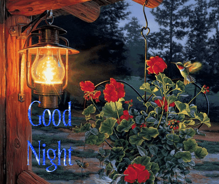 217-good-night