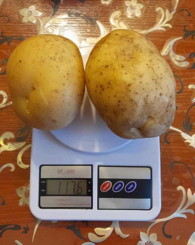 7F796F1D-952A-489E-A4CB-2B7E84CE5BE4