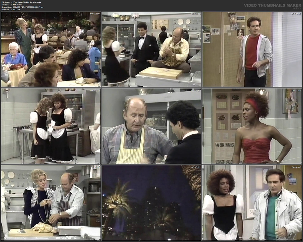 It's a Living S04E04 Surprise.mkv