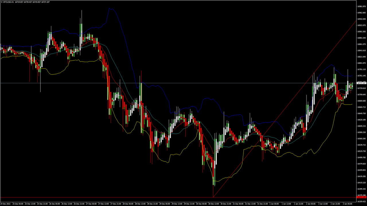 Daily Market Analysis By FXOpen in Fundamental_btcx