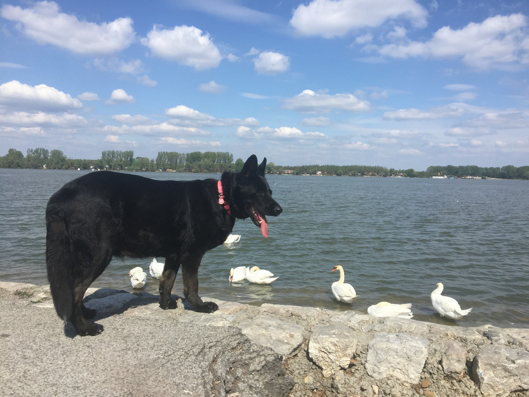 DB7D04C2-662E-44D1-A402-D02EBC825595