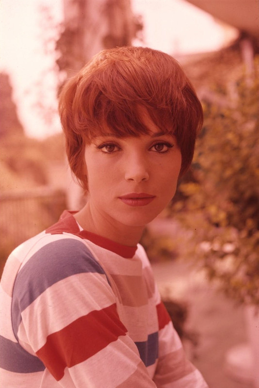 elsa_martinelli_d99