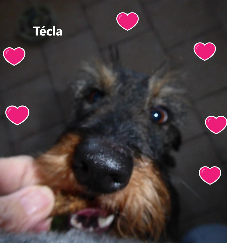 [Image: P1040598-Copie.jpg]