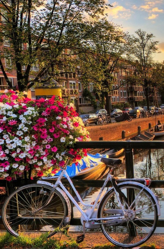 Screenshot_20230906_235859_Pinterest