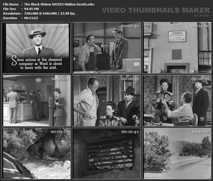The Black Widow S01E03 Hidden Death.mkv