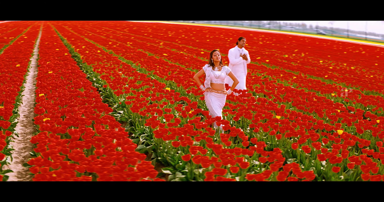 VideoCapture_20241122-195228