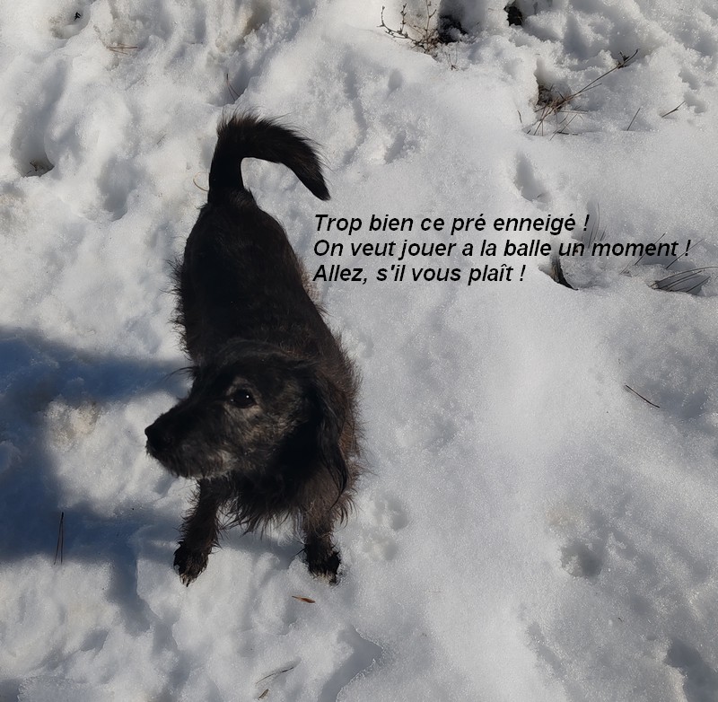 IMG-20260222-114054bb