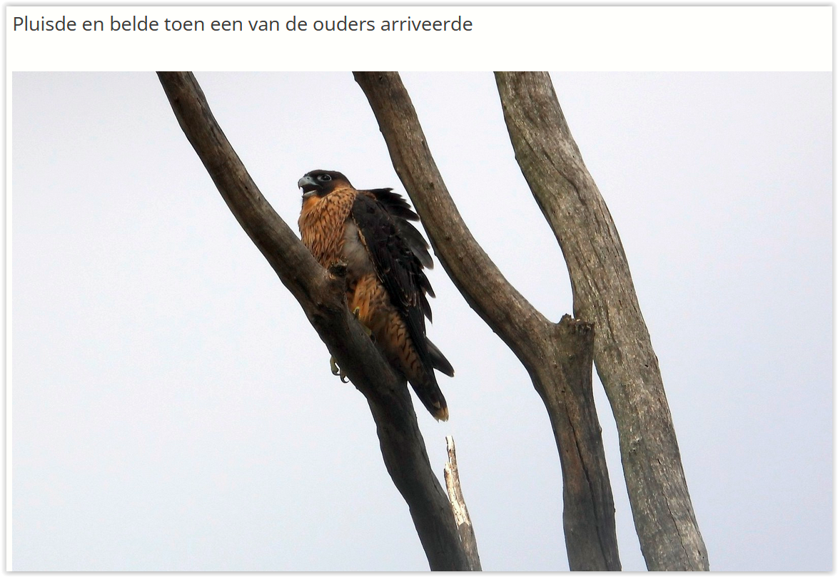 Screen Shot 12 21 25 at 09 58 AM 001