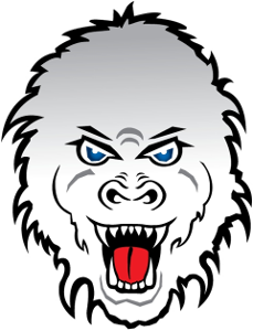 Brookings Blizzard Cap