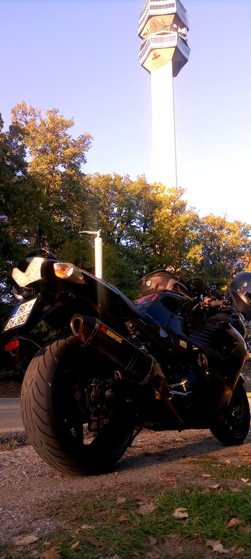 IMG-20241020-175658.jpg