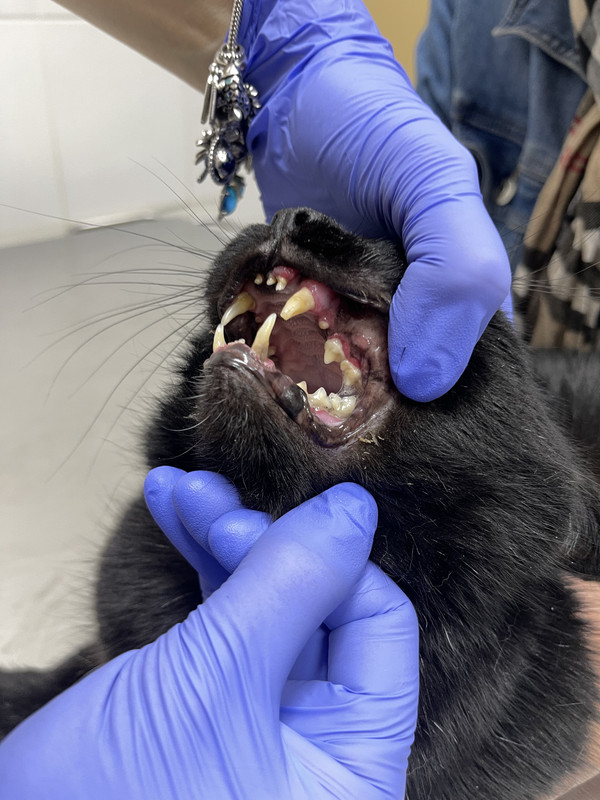 57243C56-43C9-4B92-A722-035F9AD27B9A