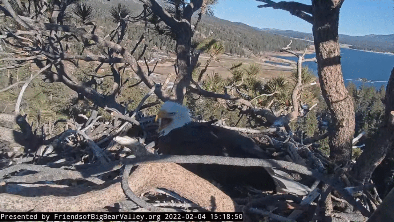 Webp.net-gifmaker (1)