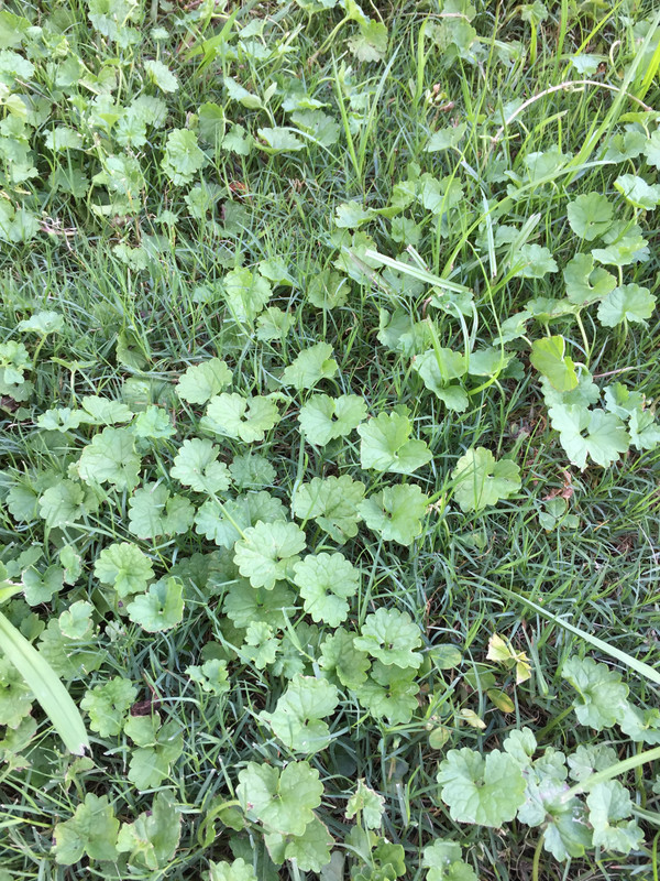 EB96BB33-4B65-4EA3-8C2F-E42E413A8DE3