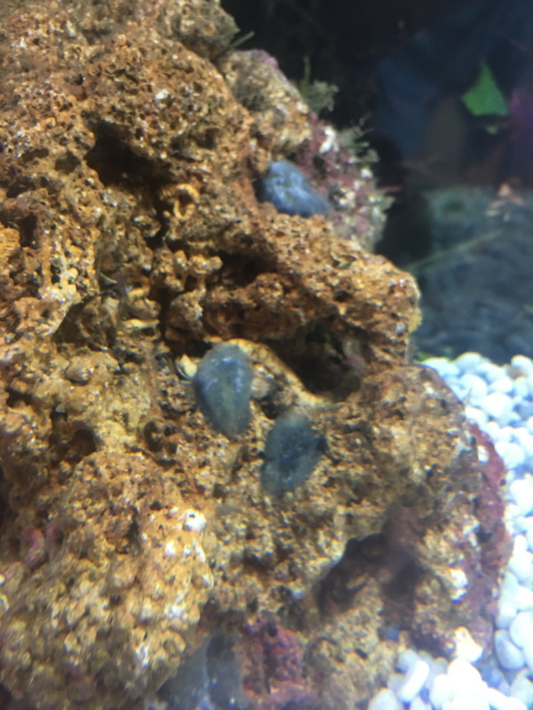 FE501D0B-196D-43CF-8B03-57833B125C40