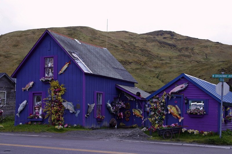 purple-dutch-harbor-79925-1280.jpg