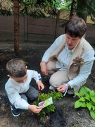 IMG_20250611_130342_853