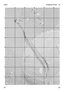 Apelsiny