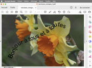 [Image: copie-ecran.jpg]