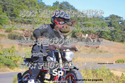 IMG-3042